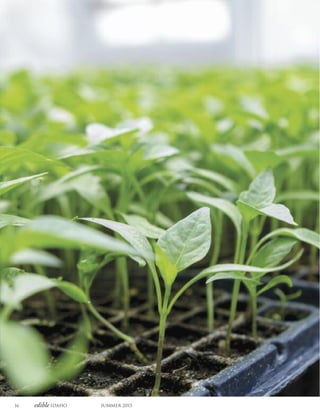 16 edible Idaho Summer 2015
 