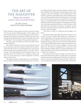 24 edible Idaho Summer 2015
The Art of
the Slaughter
Taking a clear-eyed look
at what it means to turn life into food
By Eric Hayes
PHOTOS BY ARLIE SOMMER
Eileen Staichowski is having trouble choosing an outfit this morning.
Two years ago, she quit a high-paying job as a safety engineer on the
East Coast and moved west to turn her lifelong passion for food into a
livelihood. She worked as a cheesemaker in Driggs, then took a job at
the Idaho Hunger Relief Task Force in Boise, but still she felt the need
to “fill the gaps” in her knowledge of farming and food production.
That’s why today she’s reflecting on which of her clothes are best
suited for bloodstains.
After careful consideration she chooses a green flannel shirt and
brown canvas pants: earth-tones and heavy materials to fit the crisp De-
cember morning. She then eats a quick breakfast and is ready to go; but
before leaving her house, her boyfriend tells her to “have fun.” The two
exchange a look acknowledging the awkward phrasing. Eileen is par-
ticipating in her first livestock harvest—a slaughter of lambs—and
“fun” isn’t exactly what she has in mind. A hug follows, and Eileen
walks out the front door.
The slaughter takes place at Purple Sage Farms outside Middleton,
about 25 miles from Eileen’s North End Boise apartment. The owners’
sons, Kelby and Mike Sommer, introduce themselves to Eileen with a
hearty handshake. They will be Eileen’s guides through the process, and
are happy to pass their knowledge on to this willing initiate. Eileen
stands by a wood fence as the brothers guide a flock of 100 lambs to the
corral. One 80-pound lamb on this farm will produce about 15 pounds
of boned meat. Because the lambs are grass-fed, they’re much smaller
than corn- and silage-fed lambs raised on feedlots, but their flesh is de-
cidedly more tender and better tasting. Two sheep dogs nip at the lambs’
ears as the brothers shepherd the flock into a corral, where they cull the
larger lambs from the smaller ones and direct the weightier creatures
into a barn. Eileen follows them in and ask the brothers how they will
select the animals for slaughter.
“Not much of a science to it. Whichever look the biggest,” says
Kelby.
The brothers isolate a large, light-colored sheep and carry it out of
the barn by its legs. The lamb is placed belly-up in a cradle-buck—a
sawhorse-shaped device with legs that extend beyond their vertices to
create cradling Xs that keep the lamb calm and positioned for easier
bloodletting. Eileen watches from a short distance as Mike holds the
creature’s legs and Kelby slides a blade across the animal’s throat, open-
ing a wound that severs the creature’s esophagus, carotid artery and
jugular vein. The lamb emits a gurgling sound as it strains for a final
breath, and Eileen whimpers softly as two streams of blood flow into a
shallow hole, dug earlier that morning. The blood forms a bright crim-
son pool in the morning sun.
Two minutes after the initial cut is made, the red flow turns to a
trickle and the lifeless body is placed on a pallet. Knives are cleaned and
sharpened, and the process begins again. The brothers invite Eileen into
the barn to select the second lamb, and ask if she’d like to help carry it
to the cradle-buck. Eileen doesn’t hesitate. The brothers make their de-
 