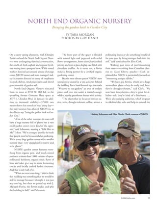 EdibleIdaho.com 31
North End Organic Nursery
Bringing the garden back to Garden City
By Tara Morgan
PHOTOS BY GUY HAND
On a sunny spring afternoon, both Chinden
Boulevard and the North End Organic Nurs-
ery were undergoing frenzied construction,
the smells of fresh asphalt and organic fertil-
izer mixing into a pungent brew. While vested
workers directed cars around a maze of orange
cones, NEON owner and store manager Lind-
say Schramm directed an army of employees
to stock shelves, tend plant starts and shovel
giant mounds of garden soil.
North End Organic Nursery relocated
from its roost at 2350 W. Hill Rd. to the
sprawling former Costume Shop space at
3777 E. Chinden Blvd. in January. In addi-
tion to increased visibility—37,000 cars
motor down that stretch of road every day—
the new location has allowed NEON to, as
they like to say, “bring the garden back to Gar-
den City.”
“A lot of the other nurseries in town will
have a huge nursery full of plants but a very
small garden center; we’re kind of the oppo-
site,” said Schramm, wearing a “Talk Dirt to
Me” T-shirt. “We’re trying to provide the tools
that people need to be successful at gardening.
We’re a very large garden center with a smaller
nursery that’s very specialized in native and
xeric plants.”
NEON’s garden center features every-
thing from organic pest- and weed-control
products to more than 1,000 varieties of open-
pollinated, heirloom, organic seeds. Rows of
hoes and rakes give way to stone fermenting
crocks and locally crafted herbal tinctures.
And that’s only half of it.
“When we were searching, I didn’t think
this building was something that we would be
able to manage because I thought it was just
way too big, but then we paired up with J.
Michaels Florist, the flower studio, and split
the building in half,” said Schramm.
pollinating insect or do something beneficial
for your yard by fixing nitrogen back into the
soil,” said horticulturalist Elisa Clark.
Walking past rows of just-blossoming
fruit trees—everything from Cornelian cher-
ries to Giant Elberta peaches—Clark ex-
plained that NEON is particularly focused on
“interesting, unique edibles.”
“We have goji berries, which are a huge
antioxidant plant—they do really well here;
they’re drought-tolerant,” said Clark. “We
now have honeyberries—they’re great for al-
kaline soil; they’re kind of a blueberry. …
We’re also carrying seaberries, which do great
in alkaline/clay soils and help to amend the
The front part of the space is flooded
with natural light and peppered with artful
flower arrangements, home décor, handcrafted
jewelry and even a glass display case filled with
chocolate truffles. As it turns out, a florist
makes a fitting partner for a certified organic
gardening center.
But the most vibrant part of NEON’s new
operation is located in a one-acre plot behind
the building. Past a hand-lettered sign that reads
“Welcome to our gardens” an array of verdant
plants and trees rest under a shaded canopy,
while a nearby greenhouse buzzes with activity.
“The plants that we focus on here are na-
tive, xeric, drought-tolerant, edible, attract a
Lindsay Schramm and Elisa Nicole Clark, owners of NEON
 