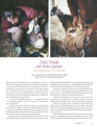 EdibleIdaho.com 35
The early spring wind stroked my face as I stepped out of the car in
“Drictor” (the region of the Teton Valley that lies between Driggs and
Victor) and onto Winter Winds Farm. I peeked around one of the two
outbuildings and was greeted by a herd of 18 curious faces: Nubian
goats, a breed known for their long, floppy ears and the high butterfat
content of their milk. I quickly chatted them up before seeking out
Winter Winds owners Ginny Robbins and Nathan Ray, a chef by trade,
who explained how he got into the biz.
“I wanted to be part of the community … and bring back the skill
of cheesemaking,” said Ray. “Like in any industry, the artisanal little
guy is coming back.”
And that’s an understatement. Goat dairies are popping up like
weeds in the Teton Valley, second only to backyard chickens. Each year,
a new purveyor peddles their prized chèvres and aged goat cheeses at
local farmers markets. Winter Winds, for example, sells fresh chèvre
and crottin, a surface-ripened goat cheese similar to brie.
But goat farming isn’t just about the cheese. Raising these versatile
creatures offers a low-maintenance way to farm, one that makes a sustain-
able livelihood much more feasible. “I was a one-girl operation and could
manhandle them easier than a cow,” said Marianne Sturken Vanderpool
of Teton Goats, while milking Momma, one of her oldest producers.
Dairy goats are about one-sixth the size of a cow and much easier
to milk. They are steady producers with longer productive lives than
their counterparts. Also, it takes less feed for a goat to produce one gal-
lon of milk than it does for a cow to produce the same.
Vanderpool hand-milks most of her goats for a daily yield of ap-
proximately six creamy gallons from five animals—enough to produce and
sell goat milk, several types of chèvre, feta and handmade goat-milk soaps.
Goats are also hardy creatures, making them a good choice for the
Idaho landscape. Vanderpool’s goats are a mix of Saanen, Alpine and
Nubian breeds. Saanens rank high in production, Alpines are suited to
cold climates and high altitudes, and Nubians provide the dual purpose
of meat and milk.
Both Winter Winds Farm and Teton Goats operate a closed-loop
system by composting goat manure and spreading it onto their fields.
“My interpretation of sustainability is using my farm byproducts in pro-
The Year
of the Goat
Sustainable farming, Teton Valley style
By Christina Shepherd McGuire
PHOTOS BY CAMRIN DENGEL
 