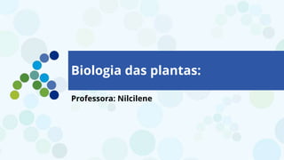 Biologia das plantas:
Professora: Nilcilene
 