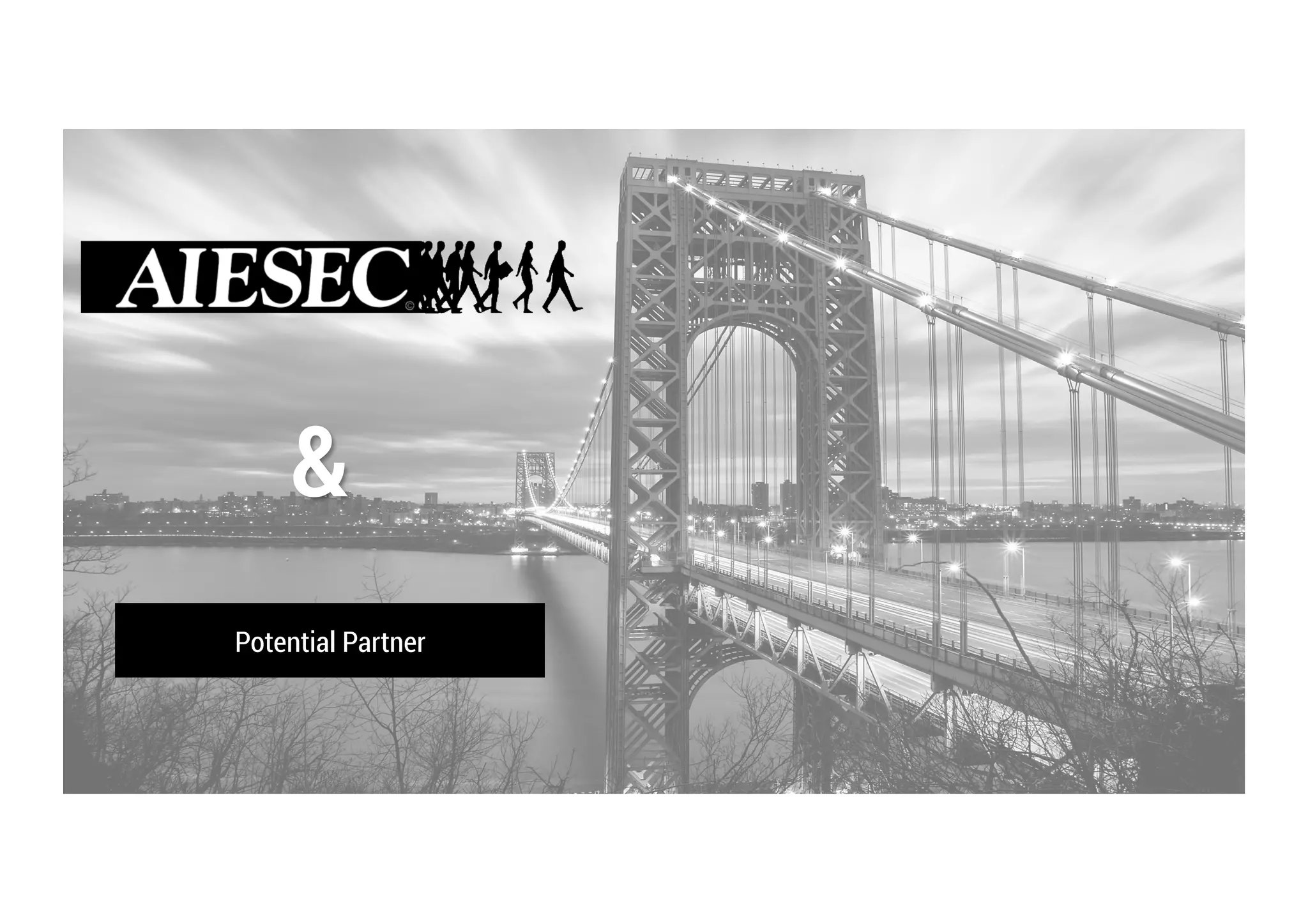 THE
POWERPOINT
SLIDE PLUS
&
Potential Partner
 