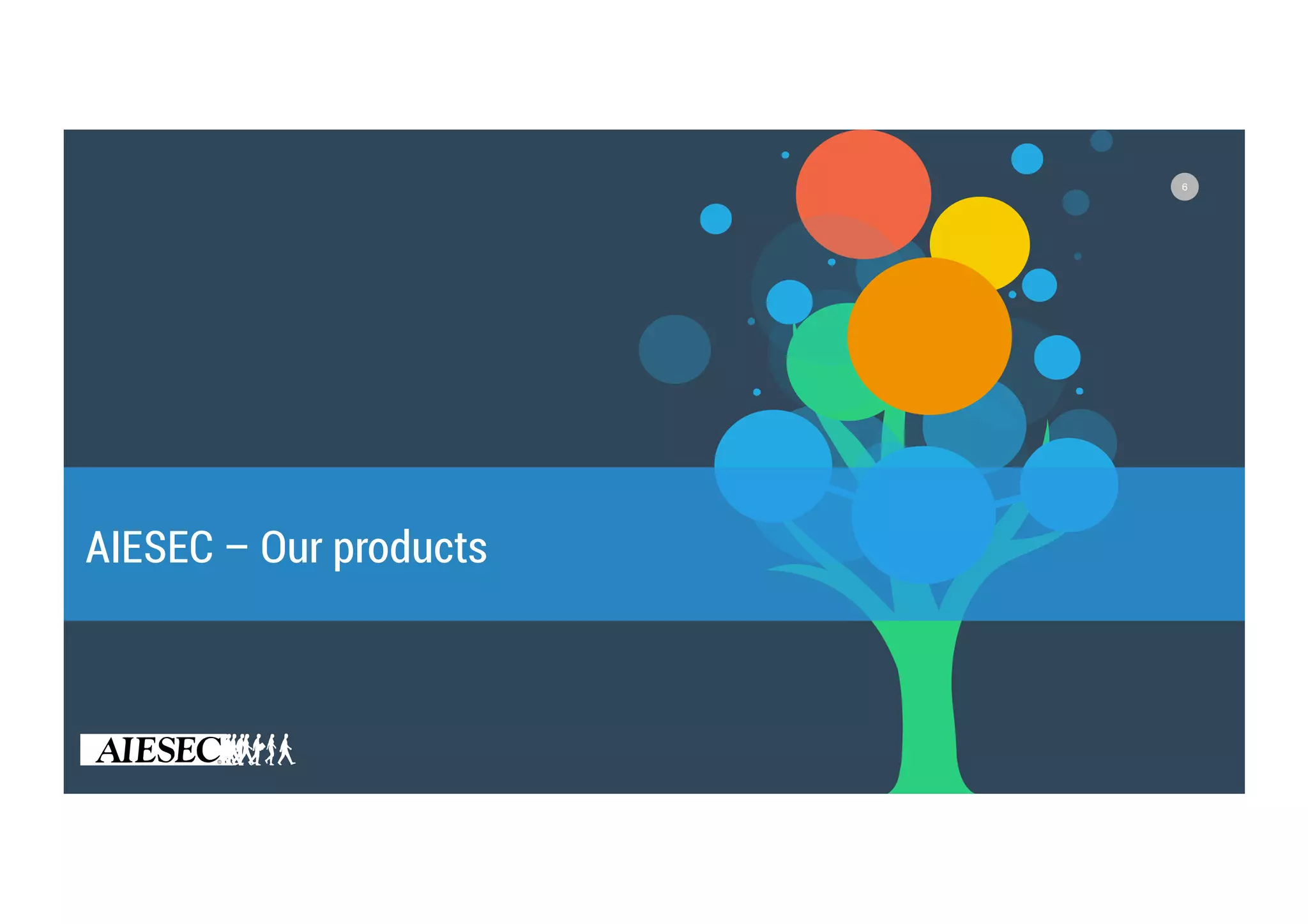 6
AIESEC – Our products
 