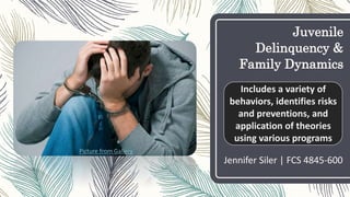 Juvenile
Delinquency &
Family Dynamics
Jennifer Siler | FCS 4845-600
Includes a variety of
behaviors, identifies risks
and preventions, and
application of theories
using various programs
Picture from Gallery
 