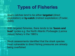 Types of Fisheries
• Shark catches tend to be either targeted (direct
exploitation) or by-catch (indirect exploitation) (Fowler,
2005)
• With targeted fisheries, there tends to be ‘boom and
bust’ cycles e.g. the North Atlantic Porbeagle (Lamna
nasus) fishery in the 1960’s
• Stock assessments identified that the shark species
most vulnerable to direct fishing pressures are already
being overfished
 