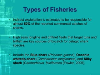 Types of Fisheries
• Indirect exploitation is estimated to be responsible for
almost 50% of the reported commercial catches of
sharks.
• High seas longline and driftnet fleets that target tuna and
billfish are key sources of bycatch for pelagic shark
species.
• Include the Blue shark (Prionace glauca), Oceanic
whitetip shark (Carcharhinus longimanus) and Silky
shark (Carcharhinus falciformis) (Fowler, 2005).
 