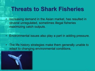 Threats to Shark Fisheries
• Increasing demand in the Asian market, has resulted in
several unregulated, sometimes illegal fisheries
maximizing catch outputs.
• Environmental issues also play a part in adding pressure.
• The life history strategies make them generally unable to
adapt to changing environmental conditions.
 