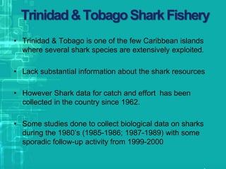 Trinidad&TobagoSharkFishery
• Trinidad & Tobago is one of the few Caribbean islands
where several shark species are extensively exploited.
• Lack substantial information about the shark resources
• However Shark data for catch and effort has been
collected in the country since 1962.
• Some studies done to collect biological data on sharks
during the 1980’s (1985-1986; 1987-1989) with some
sporadic follow-up activity from 1999-2000
 