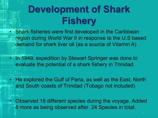 Development of Shark
Fishery
• Shark fisheries were first developed in the Caribbean
region during World War II in response to the U.S based
demand for shark liver oil (as a source of Vitamin A)
• In 1949, expedition by Stewart Springer was done to
evaluate the potential of a shark fishery in Trinidad.
• He explored the Gulf of Paria, as well as the East, North
and South coasts of Trinidad (Tobago not included)
• Observed 18 different species during the voyage. Added
6 more as being observed after. 24 Species in total.
 