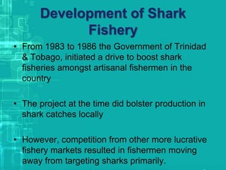Development of Shark
Fishery
• From 1983 to 1986 the Government of Trinidad
& Tobago, initiated a drive to boost shark
fisheries amongst artisanal fishermen in the
country
• The project at the time did bolster production in
shark catches locally
• However, competition from other more lucrative
fishery markets resulted in fishermen moving
away from targeting sharks primarily.
 