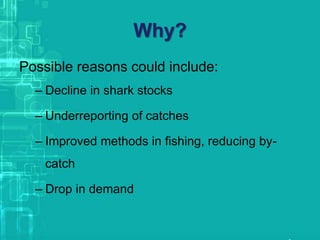 Why?
Possible reasons could include:
– Decline in shark stocks
– Underreporting of catches
– Improved methods in fishing, reducing by-
catch
– Drop in demand
 
