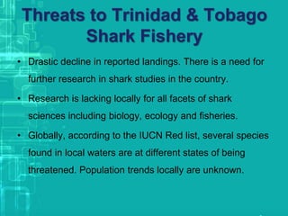 Threats to Trinidad & Tobago
Shark Fishery
• Drastic decline in reported landings. There is a need for
further research in shark studies in the country.
• Research is lacking locally for all facets of shark
sciences including biology, ecology and fisheries.
• Globally, according to the IUCN Red list, several species
found in local waters are at different states of being
threatened. Population trends locally are unknown.
 