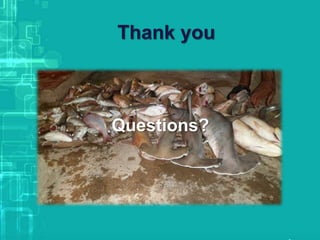 Thank you
Questions?
 