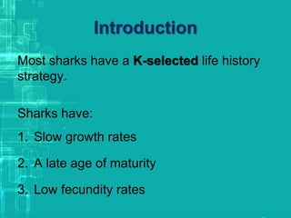 Introduction
Most sharks have a K-selected life history
strategy.
Sharks have:
1. Slow growth rates
2. A late age of maturity
3. Low fecundity rates
 