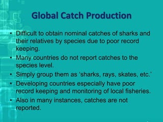 Global Catch Production
• Difficult to obtain nominal catches of sharks and
their relatives by species due to poor record
keeping.
• Many countries do not report catches to the
species level.
• Simply group them as ‘sharks, rays, skates, etc.’
• Developing countries especially have poor
record keeping and monitoring of local fisheries.
• Also in many instances, catches are not
reported.
 