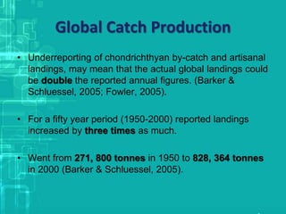 Global Catch Production
• Underreporting of chondrichthyan by-catch and artisanal
landings, may mean that the actual global landings could
be double the reported annual figures. (Barker &
Schluessel, 2005; Fowler, 2005).
• For a fifty year period (1950-2000) reported landings
increased by three times as much.
• Went from 271, 800 tonnes in 1950 to 828, 364 tonnes
in 2000 (Barker & Schluessel, 2005).
 
