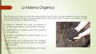La Materia Orgánica
 Mejora la fertilidad del suelo, al aumentar la
capacidad para retener e intercambiar nutrientes.
 Representa una verdadera reserva de nutrientes
para las plantas.
 Reduce la posibilidad de cambios fuertes en el
pH en el suelo.
 Se convierte en un almacenador de humedad,
creando mejores condiciones para el crecimiento
de las plantas.
 Favorece la actividad microbiológica en el suelo.
Está formada por todos los restos de plantas (tallos, hojas, frutos), animales (estiércol, plumas, huesos)
y microorganismos (hongos, bacterias, algas) que se encuentran sobre el suelo o enterrados en este,
en todos los estados de descomposición.
 