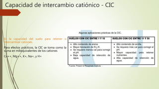 Capacidad de intercambio catiónico - CIC
Es la capacidad del suelo para retener o
intercambiar cationes.
Para efectos prácticos, la CIC se toma como la
suma en miliequivalentes de los cationes
Ca++, Mg++, K+, Na+, y H+
 
