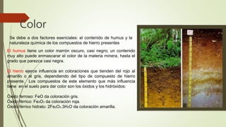 Se debe a dos factores esenciales: el contenido de humus y la
naturaleza química de los compuestos de hierro presentes
Color
El humus tiene un color marrón oscuro, casi negro; un contenido
muy alto puede enmascarar el color de la materia minera, hasta el
grado que parezca casi negra.
El hierro ejerce influencia en coloraciones que tienden del rojo al
amarillo o al gris, dependiendo del tipo de compuesto de hierro
presente. Los compuestos de este elemento que más influencia
tiene en el suelo para dar color son los óxidos y los hidróxidos:
Óxido ferroso: FeO da coloración gris.
Óxido férrico: Fe2O3 da coloración roja.
Óxido férrico hidrato: 2Fe2O3.3H2O da coloración amarilla.
 