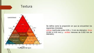 Textura
Se define como la proporción en que se encuentran los
siguientes minerales:
arenas (partículas entre 0.05 y 2 mm de diámetro), limos
(0.002 a 0.05 mm) y arcillas menores de 0.002 mm de
diámetro).
Triangulo de lyon
 