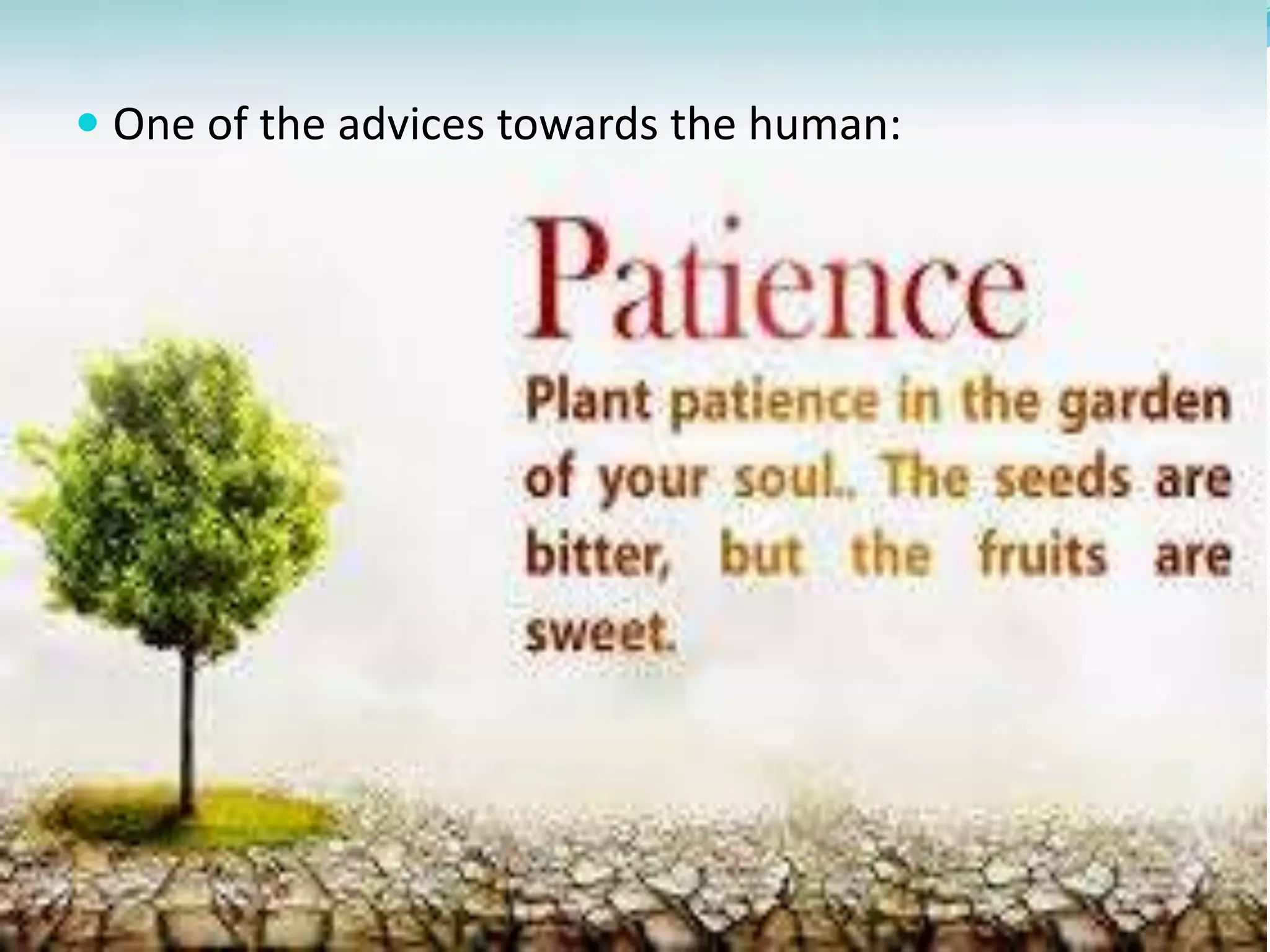  One of the advices towards the human: 
 