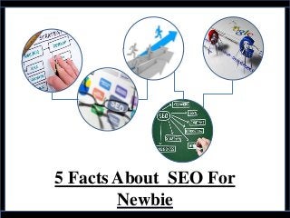 5 Facts About SEO For
Newbie
 