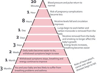 20
Minutes
1 Hour
8 Hours
1 Day
2 Days
3 Days
2 Weeks
1 Month
3 Months
Blood pressure and pulse return to
normal
Risk of pregnancy complications
become less
Nicotine levels fall and circulation
improves
Lungs begin to work better and
carbon monoxide is removed from the
body
Nicotine removed from the body
and smoking no longer affect the
baby’s growth
Energy levels increases,
breathing becomes easier
Daily tasks becomes easier to do,
withdrawal symptoms begin to ease
Withdrawal symptoms stops, breathing and
energy continue to improve
You and your baby are less likely to suffer from
breathing problems and asthma.
 
