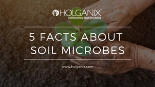5 FACTS ABOUT
SOIL MICROBES
www.holganix.com
 