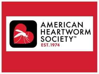 Five Facts about Heartworm Disease