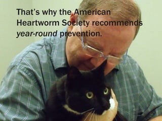 That’s why the American
Heartworm Society recommends
year-round prevention.
 