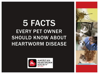 5 FACTS
EVERY PET OWNER
SHOULD KNOW ABOUT
HEARTWORM DISEASE
 