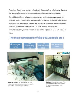 11
Figure(12): Showing many types of the
washing buffer that are used to clean
the tubes of the e 601 after each
reaction.
Figure (11): Showing the main parts of the e 601
module: the reagent area, the measuring area , the
consumables area and the pre-wash area.
A reaction should occur giving a color; this is the principle of colorimetry. By using
the technic of photometry, the concentration of the sample is calculated.
The e 601 module is a fully automated analyzer for immunoassay analysis. It is
designed for both quantitative and qualitative in vitro determination using a large
variety of tests for analysis. Samples are transported to the e 601 module by the
core unit of the Cobas 6000 system. The e 601 module is a multi-test
immunoassay analyzer with random access with a capacity of up to 170 tests per
hour.
the reagent
area
the
measuring
area
the
consumables
area
the pre-wash
area
 