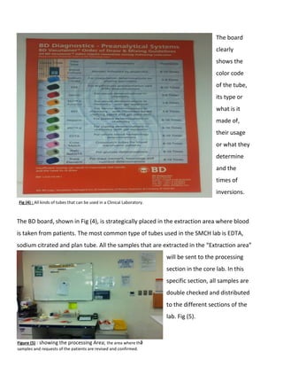 5
Fig (4) : All kinds of tubes that can be used in a Clinical Laboratory.
The board
clearly
shows the
color code
of the tube,
its type or
what is it
made of,
their usage
or what they
determine
and the
times of
inversions.
The BD board, shown in Fig (4), is strategically placed in the extraction area where blood
is taken from patients. The most common type of tubes used in the SMCH lab is EDTA,
sodium citrated and plan tube. All the samples that are extracted in the “Extraction area”
will be sent to the processing
section in the core lab. In this
specific section, all samples are
double checked and distributed
to the different sections of the
lab. Fig (5).
Figure (5) : showing the processing Area; the area where the
samples and requests of the patients are revised and confirmed.
 