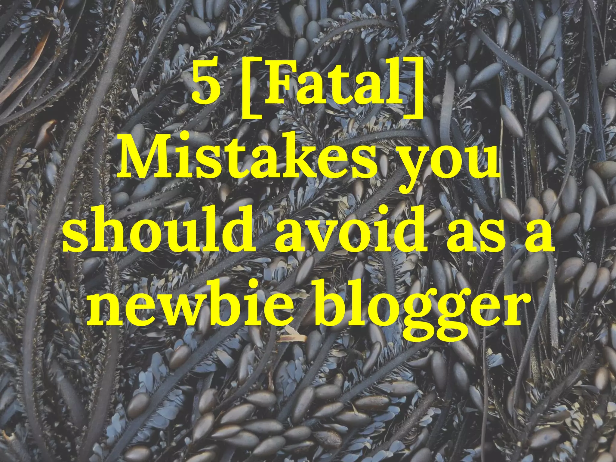 5 [Fatal] Mistakes you should avoid as a newbie blogger  