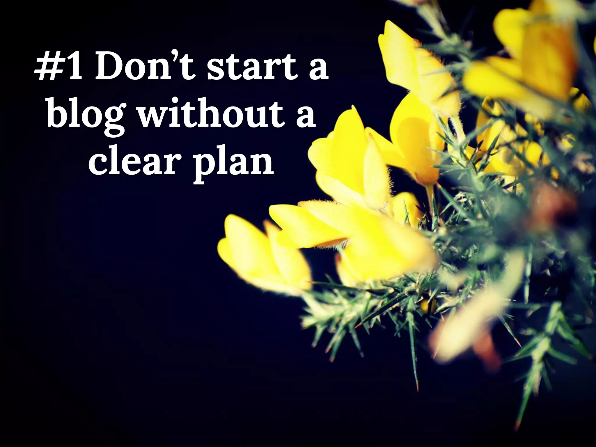 #1 Don’t start a blog without a clear plan  