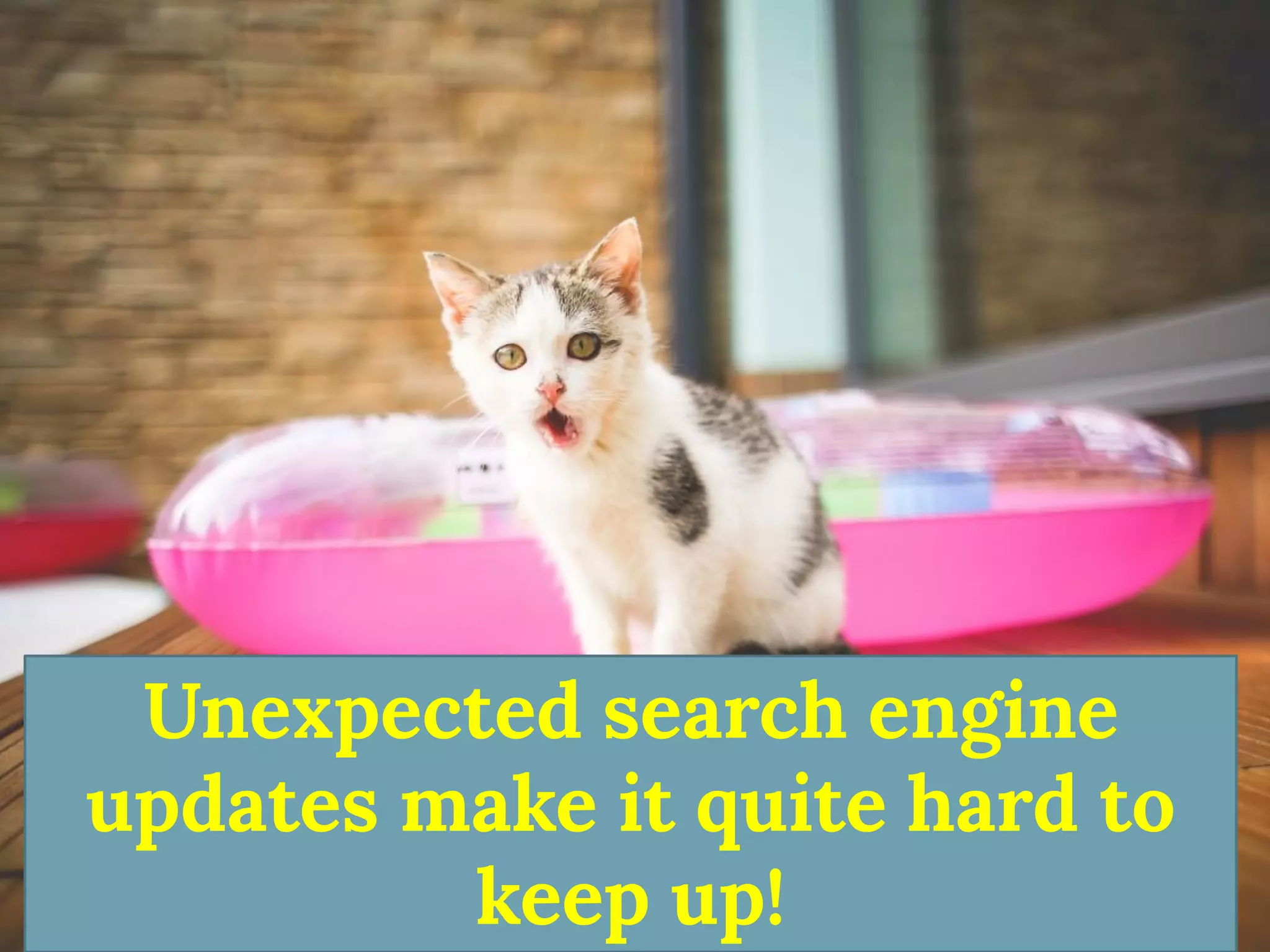 Unexpected search engine updates make it quite hard to keep up!  