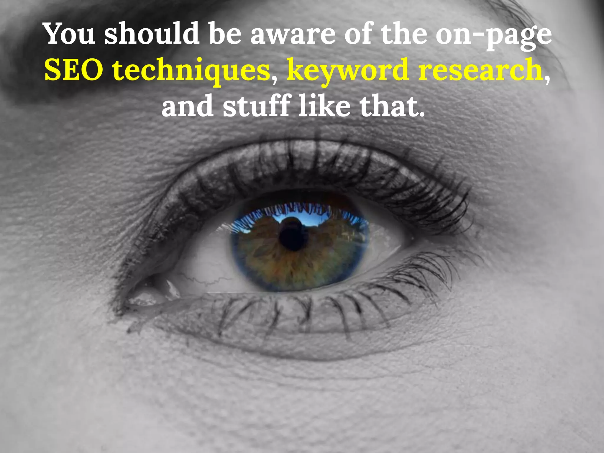 You should be aware of the on-page SEO techniques, keyword research, and stuff like that.  