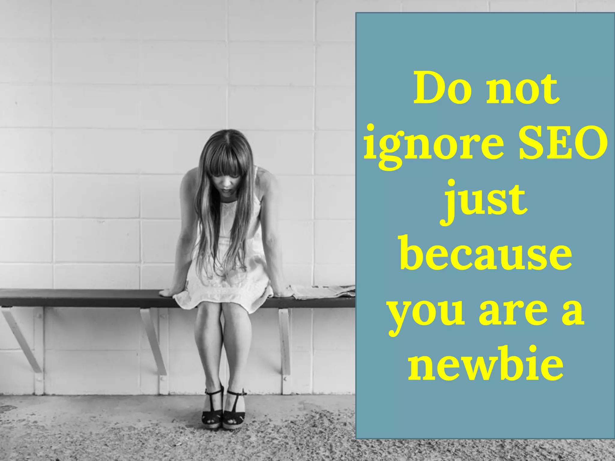 Do not ignore SEO just because you are a newbie  