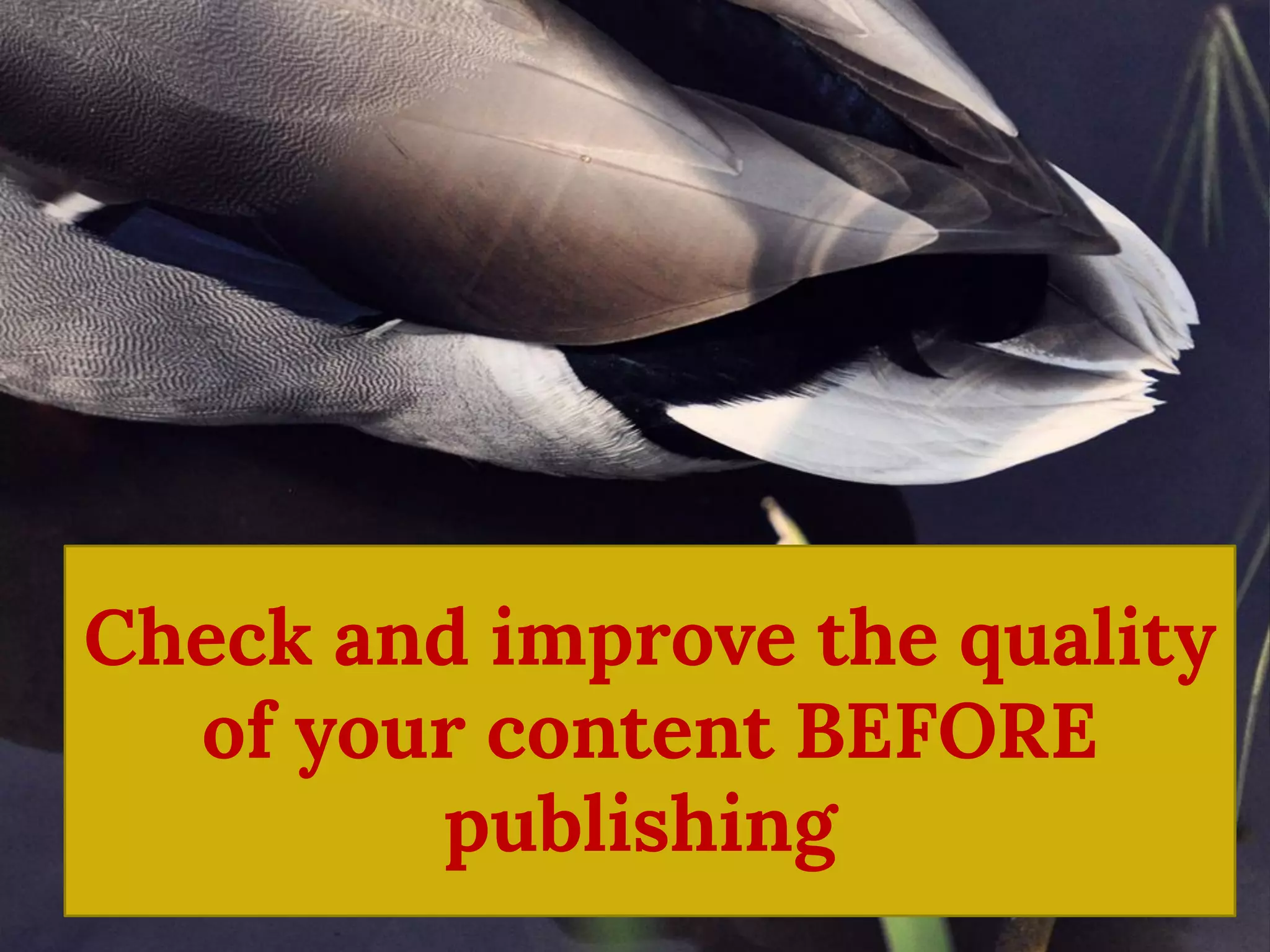 Check and improve the quality of your content BEFORE publishing  