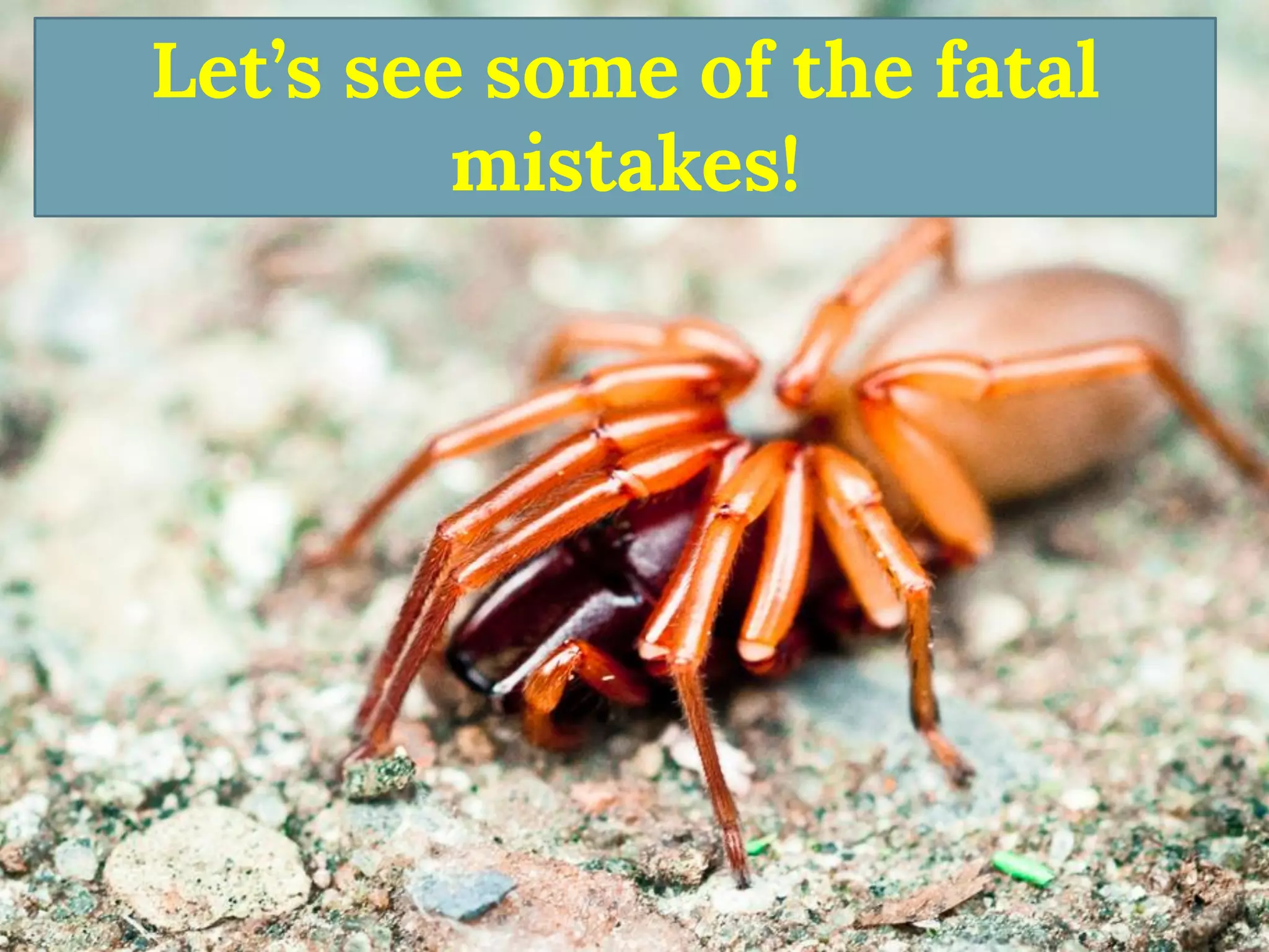 Let’s see some of the fatal mistakes!  