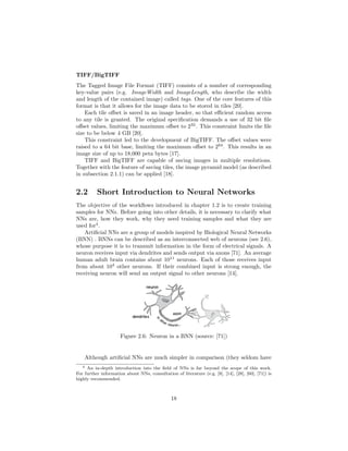 TIFF/BigTIFF
The Tagged Image File Format (TIFF) consists of a number of corresponding
key-value pairs (e.g. ImageWidth and ImageLength, who describe the width
and length of the contained image) called tags. One of the core features of this
format is that it allows for the image data to be stored in tiles [20].
Each tile oﬀset is saved in an image header, so that eﬃcient random access
to any tile is granted. The original speciﬁcation demands a use of 32 bit ﬁle
oﬀset values, limiting the maximum oﬀset to 232
. This constraint limits the ﬁle
size to be below 4 GB [20].
This constraint led to the development of BigTIFF. The oﬀset values were
raised to a 64 bit base, limiting the maximum oﬀset to 264
. This results in an
image size of up to 18,000 peta bytes [17].
TIFF and BigTIFF are capable of saving images in multiple resolutions.
Together with the feature of saving tiles, the image pyramid model (as described
in subsection 2.1.1) can be applied [18].
2.2 Short Introduction to Neural Networks
The objective of the workﬂows introduced in chapter 1.2 is to create training
samples for NNs. Before going into other details, it is necessary to clarify what
NNs are, how they work, why they need training samples and what they are
used for4
.
Artiﬁcial NNs are a group of models inspired by Biological Neural Networks
(BNN) . BNNs can be described as an interconnected web of neurons (see 2.6),
whose purpose it is to transmit information in the form of electrical signals. A
neuron receives input via dendrites and sends output via axons [71]. An average
human adult brain contains about 1011
neurons. Each of those receives input
from about 104
other neurons. If their combined input is strong enough, the
receiving neuron will send an output signal to other neurons [14].
Figure 2.6: Neuron in a BNN (source: [71])
Although artiﬁcial NNs are much simpler in comparison (they seldom have
4 An in-depth introduction into the ﬁeld of NNs is far beyond the scope of this work.
For further information about NNs, consultation of literature (e.g. [8], [14], [28], [60], [71]) is
highly recommended.
18
 