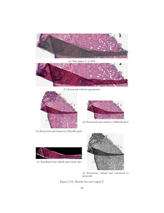 (a) Test region C in ASV
(b) Extracted without parameters
(c) Extracted and resized to 256x256 pixel
(d) Extracted and resized to 256x128 pixel
(e) Tessellated into 32x32 pixel sited tiles
(f) Extracted, resized and converted to
grayscale
Figure 5.12: Results for test region C
78
 