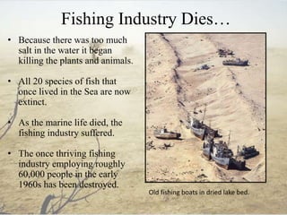 Fishing Industry Dies…
• Because there was too much
salt in the water it began
killing the plants and animals.
• All 20 species of fish that
once lived in the Sea are now
extinct.
• As the marine life died, the
fishing industry suffered.
• The once thriving fishing
industry employing roughly
60,000 people in the early
1960s has been destroyed.
Old fishing boats in dried lake bed.
 