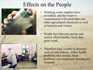 Effects on the People
• Drinking water supplies have
dwindled, and the water is
contaminated with pesticides and
other agricultural chemicals as well
as bacteria and viruses.
• People have become poorer and
cannot afford healthy food, they
grow weak.
• Therefore easy victims to diseases
such as tuberculosis. Other health
problems like anemia, heart
problems and respiratory diseases are
rampant
 