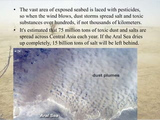 • The vast area of exposed seabed is laced with pesticides,
so when the wind blows, dust storms spread salt and toxic
substances over hundreds, if not thousands of kilometers.
• It's estimated that 75 million tons of toxic dust and salts are
spread across Central Asia each year. If the Aral Sea dries
up completely, 15 billion tons of salt will be left behind.
 