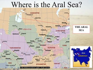 Where is the Aral Sea?
THE ARAL
SEA
 