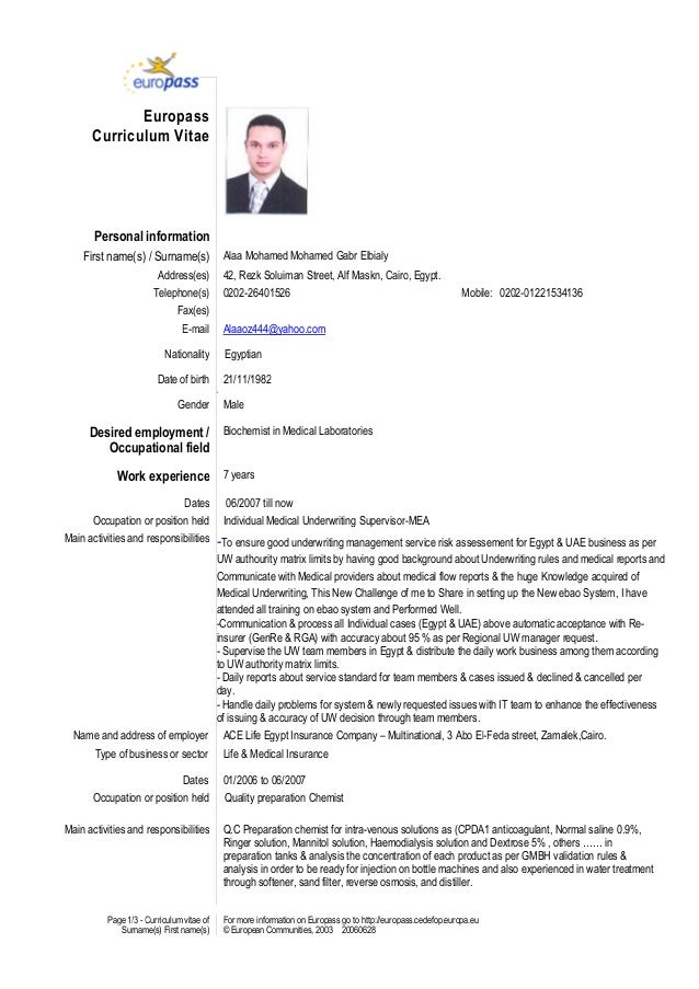 Alaa CV Europe alaa-cv-europe