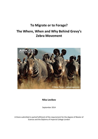 To Migrate or to Forage?
The Where, When and Why Behind Grevy’s
Zebra Movement
Nika Levikov
September 2014
A thesis submitted in partial fulfilment of the requirement for the degree of Master of
Science and the Diploma of Imperial College London
 