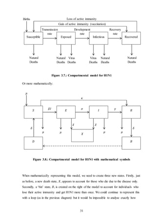 31
Figure 3.7.: Compartmental model for H1N1
Or more mathematically:
Figure 3.8.: Compartmental model for H1N1 with mathematical symbols
When mathematically representing this model, we need to create three new states. Firstly, just
as before, a new death state, 𝑋, appears to account for those who die due to the disease only.
Secondly, a ‘bin’ state, 𝐵, is created on the right of the model to account for individuals who
lose their active immunity and get H1N1 more than once. We could continue to represent this
with a loop (as in the previous diagram) but it would be impossible to analyse exactly how
𝛿
𝜅
𝛾𝜎𝛽𝐼
𝜒
𝑆 𝐸 𝐼
𝜇
𝑅
𝜇
𝜒
𝜇 𝜇 𝜇
𝛿
𝑋
𝐷 𝐵
Loss of active immunity
Gain of active immunity (vaccination)
Recovery
rate
Development
rate
Transmission
rate
Virus
Deaths
Susceptible Exposed Infectious
Births
Recovered
Natural
Deaths
Natural
Deaths
Natural
Deaths
Virus
Deaths
Natural
Deaths
 
