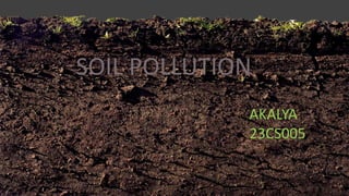 AKALYA
23CS005
SOIL POLLUTION
 